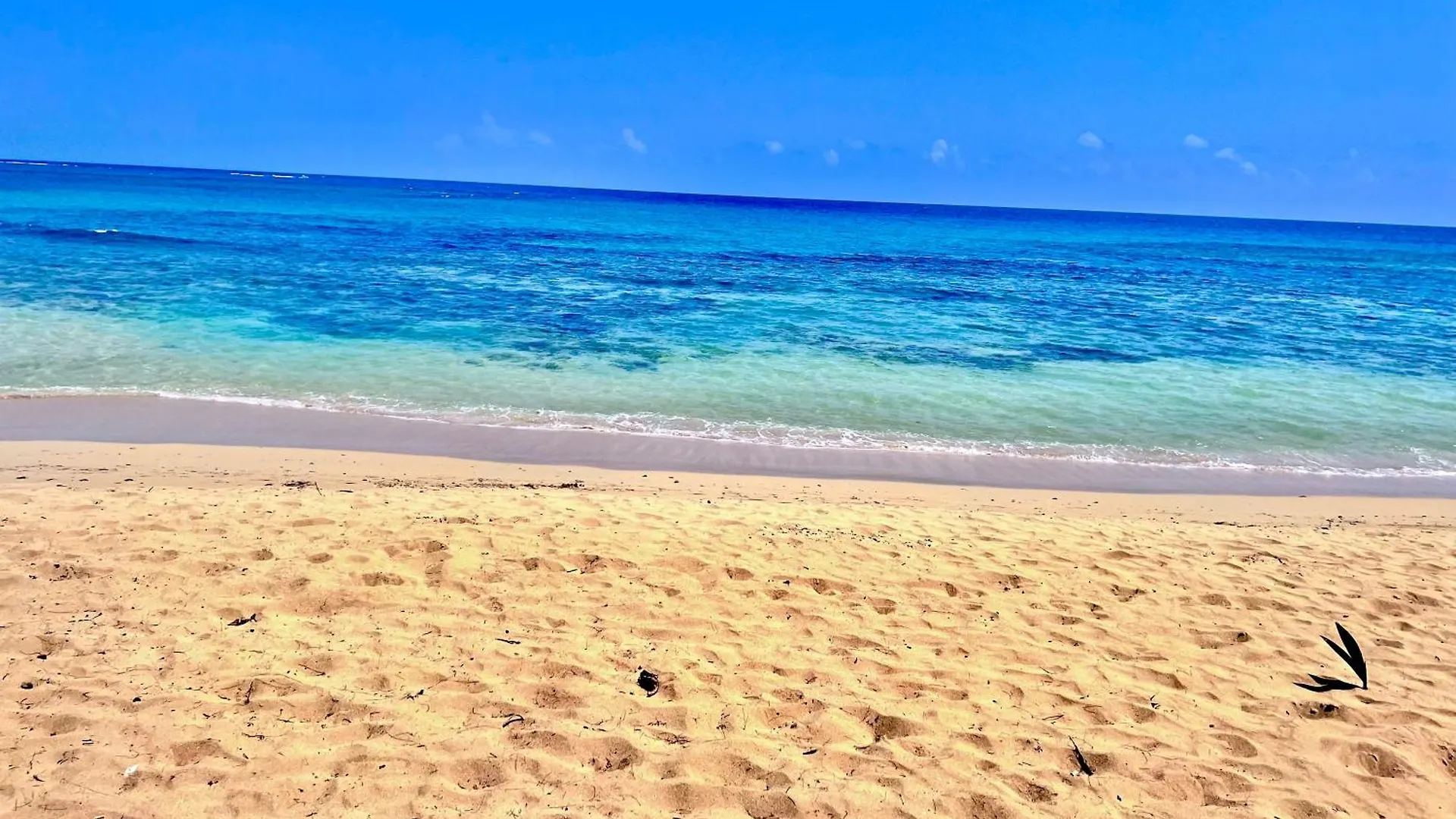 Playa Turchese Apartamento Las Terrenas Lägenhet